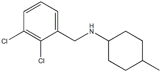 N-[(2,3-dichlorophenyl)methyl]-4-methylcyclohexan-1-amine Struktur