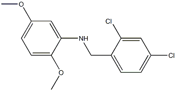 N-[(2,4-dichlorophenyl)methyl]-2,5-dimethoxyaniline Struktur