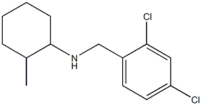 N-[(2,4-dichlorophenyl)methyl]-2-methylcyclohexan-1-amine Struktur