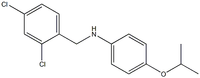 N-[(2,4-dichlorophenyl)methyl]-4-(propan-2-yloxy)aniline Struktur