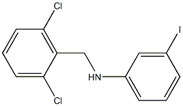 N-[(2,6-dichlorophenyl)methyl]-3-iodoaniline Struktur