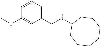 N-[(3-methoxyphenyl)methyl]cyclooctanamine Struktur