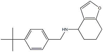 N-[(4-tert-butylphenyl)methyl]-4,5,6,7-tetrahydro-1-benzofuran-4-amine Struktur