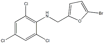 N-[(5-bromofuran-2-yl)methyl]-2,4,6-trichloroaniline Struktur