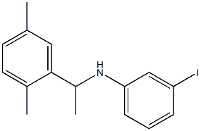 N-[1-(2,5-dimethylphenyl)ethyl]-3-iodoaniline Struktur