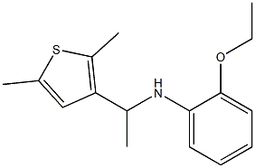 N-[1-(2,5-dimethylthiophen-3-yl)ethyl]-2-ethoxyaniline Struktur