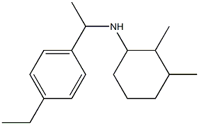 N-[1-(4-ethylphenyl)ethyl]-2,3-dimethylcyclohexan-1-amine Struktur