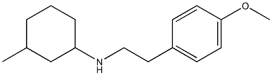 N-[2-(4-methoxyphenyl)ethyl]-3-methylcyclohexan-1-amine Struktur