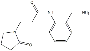 N-[2-(aminomethyl)phenyl]-3-(2-oxopyrrolidin-1-yl)propanamide Struktur