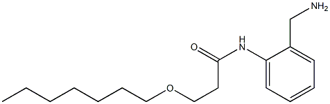 N-[2-(aminomethyl)phenyl]-3-(heptyloxy)propanamide Struktur