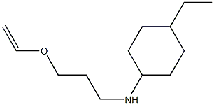 N-[3-(ethenyloxy)propyl]-4-ethylcyclohexan-1-amine Struktur