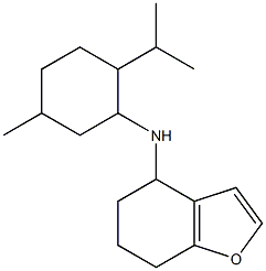 N-[5-methyl-2-(propan-2-yl)cyclohexyl]-4,5,6,7-tetrahydro-1-benzofuran-4-amine Struktur