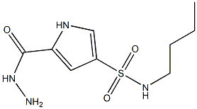 N-butyl-5-(hydrazinocarbonyl)-1H-pyrrole-3-sulfonamide Struktur