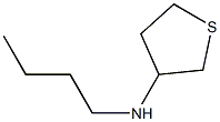 N-butylthiolan-3-amine Struktur