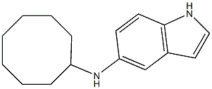 N-cyclooctyl-1H-indol-5-amine Struktur