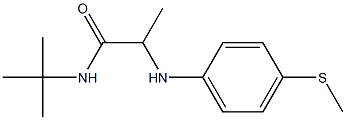 N-tert-butyl-2-{[4-(methylsulfanyl)phenyl]amino}propanamide Struktur