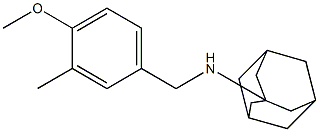 N-{[3-methyl-4-(methyloxy)phenyl]methyl}-N-tricyclo[3.3.1.1~3,7~]dec-1-ylamine Struktur