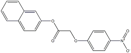 2-naphthyl 2-(4-nitrophenoxy)acetate Struktur