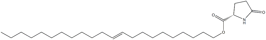 (S)-5-Oxopyrrolidine-2-carboxylic acid 10-docosenyl ester Struktur