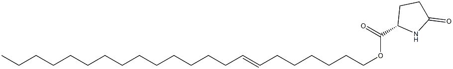 (S)-5-Oxopyrrolidine-2-carboxylic acid 7-docosenyl ester Struktur