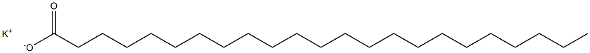 Tricosanoic acid potassium salt Struktur