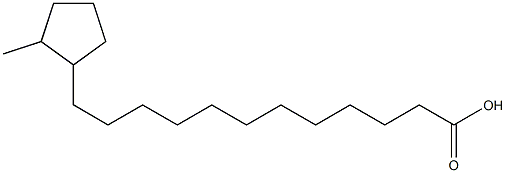 12-(2-Methylcyclopentyl)dodecanoic acid Struktur