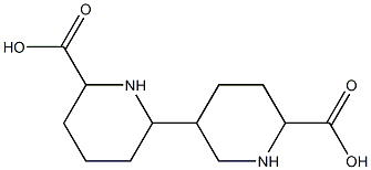 Dodecahydro[2,3'-bipyridine]-6,6'-dicarboxylic acid Struktur