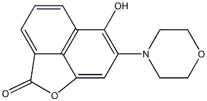 7-Morpholino-6-hydroxy-2H-naphtho[1,8-bc]furan-2-one Struktur