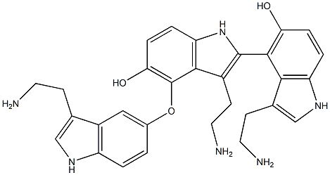 2-[3-(2-Aminoethyl)-5-hydroxy-1H-indol-4-yl]-4-[[3-(2-aminoethyl)-1H-indol-5-yl]oxy]-3-(2-aminoethyl)-1H-indol-5-ol Struktur