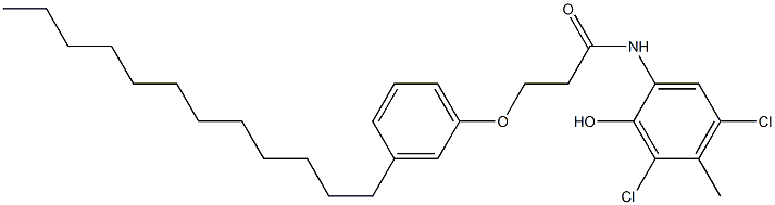 2-[3-(3-Dodecylphenoxy)propanoylamino]-4,6-dichloro-5-methylphenol Struktur