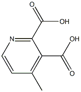 4-Methylpyridine-2,3-dicarboxylic acid Struktur