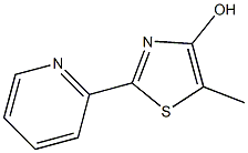 5-Methyl-2-(2-pyridinyl)thiazol-4-ol Struktur