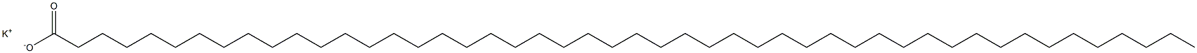 Octatetracontanoic acid potassium salt Struktur