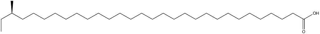 [R,(-)]-28-Methyltriacontanoic acid Struktur