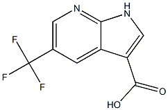 5-(Trifluoromethyl)-1H-pyrrolo[2,3-b]pyridine-3-carboxylic acid Struktur