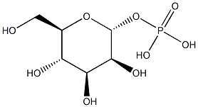  化學(xué)構(gòu)造式