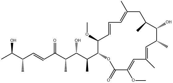 PD 118576 Struktur