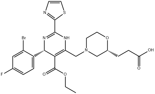 HEC 72702) Struktur