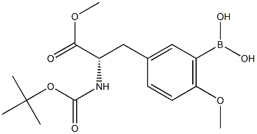 3-borono-N-[(1,1-diMethyletyhoxy)carbonyl]-O-Methyl- Methyl Ester Struktur