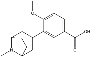 Datumetine Struktur