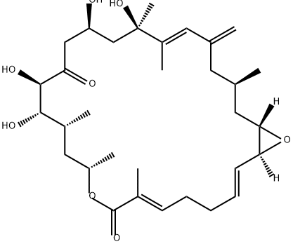 amphidinolide D Struktur