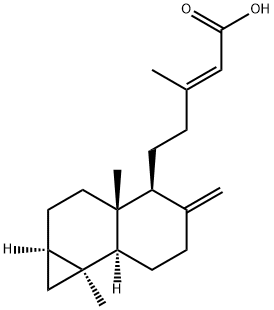 Metasequoic acid A Struktur