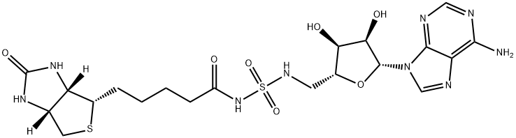 Bio-AMS Struktur