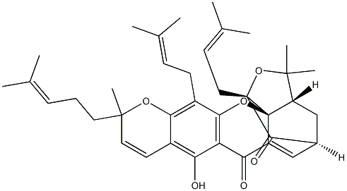 Gambogin Struktur