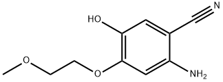 Erlotinib Impurity 58