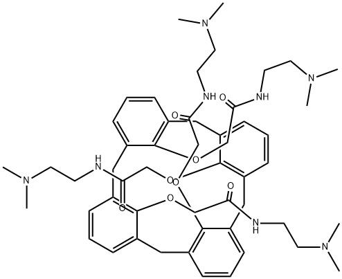 OTX 008 Struktur