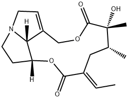 INTEGERRIMINE Struktur