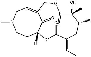 NEOSENKIRKINE Struktur