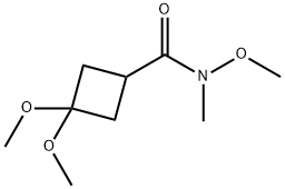 Cyclobutanecarboxamide, N,3,3-trimethoxy-N-methyl- Struktur