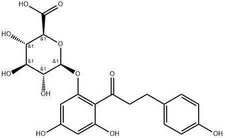 Phloretin-2’-O-glucuronide Structure